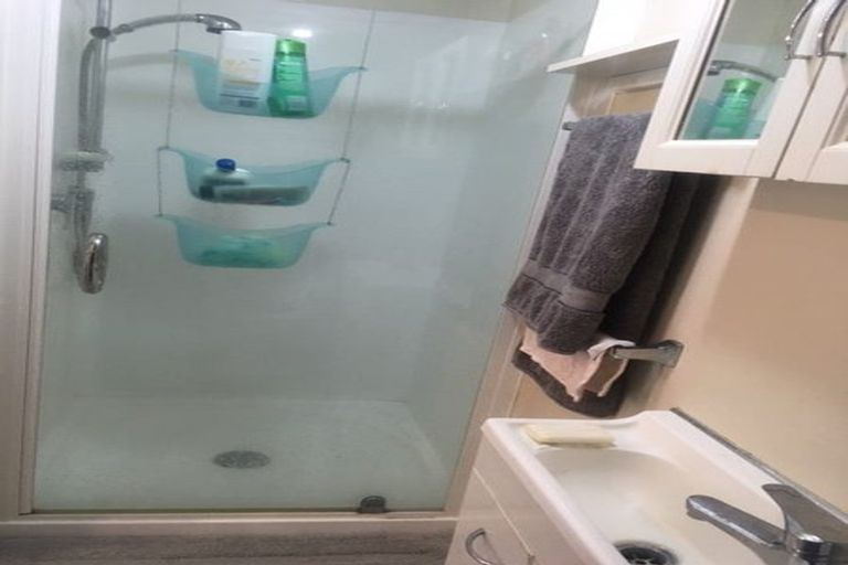 Photo of property in 60 Austin Street, Mount Victoria, Wellington, 6011