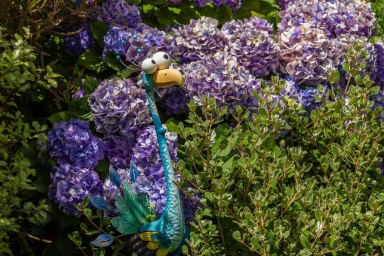 Photo of property in 20 Menin Road, Raumati South, Paraparaumu, 5032