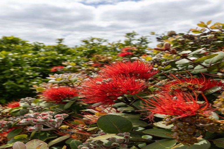 Photo of property in 19 Plantation Road, Rangiriri, Te Kauwhata, 3782