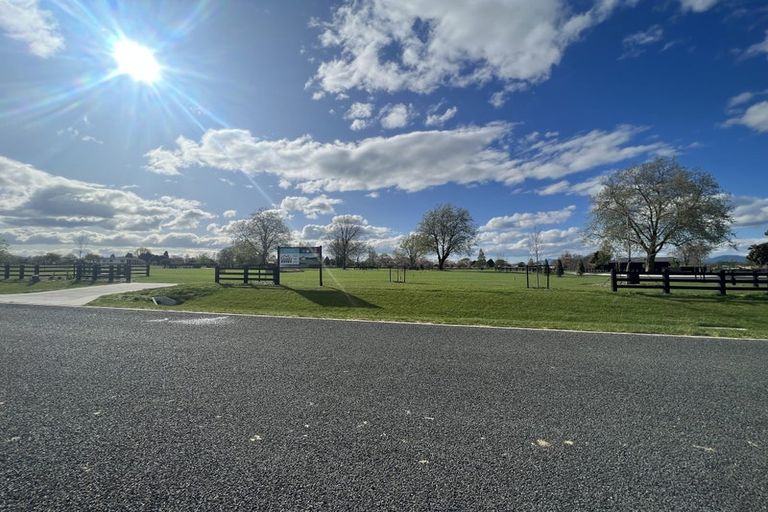 Photo of property in 7 Orchard Place, Matamata, 3472