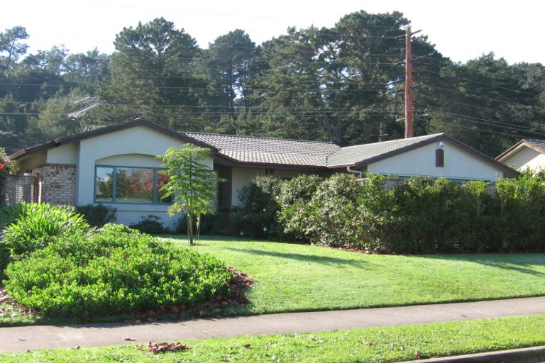 Photo of property in 49 Clemow's Lane, Albany, Auckland, 0632