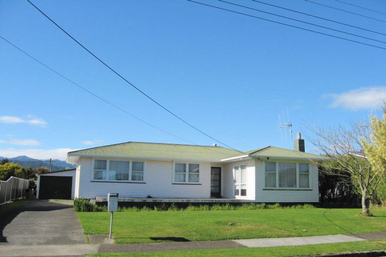 Photo of property in 12 Ferguson Street, Levin, 5510
