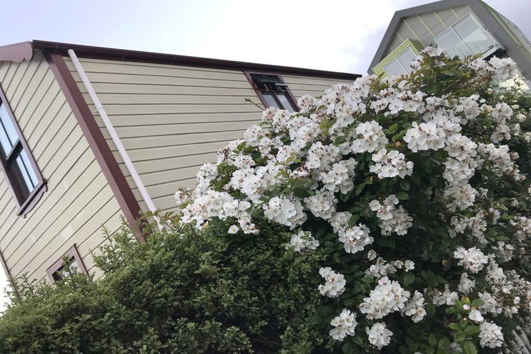 Photo of property in 130a Abel Smith Street, Te Aro, Wellington, 6011