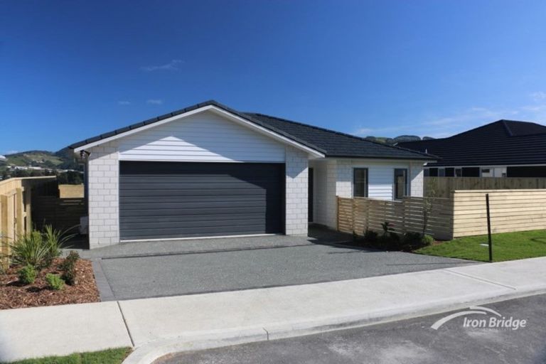 Photo of property in 118 John Burke Drive, Aotea, Porirua, 5024