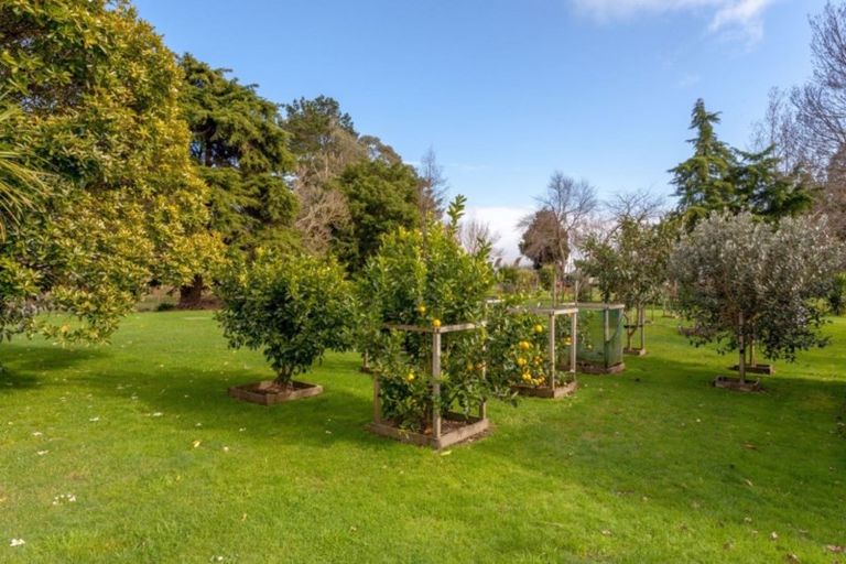 Photo of property in 60 Puke Road, Paeroa, 3600