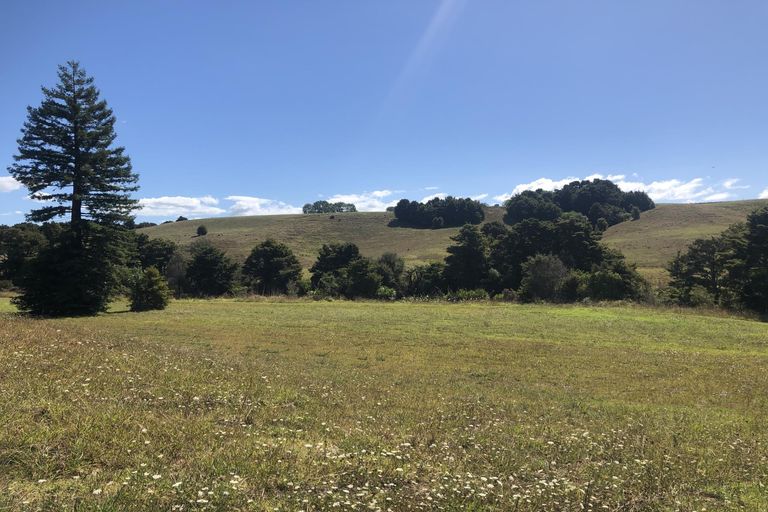 Photo of property in 17 Riverbank Drive, Kerikeri, 0230