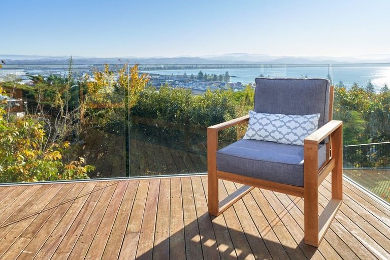 Photo of property in 32a Roslyn Road, Bluff Hill, Napier, 4110