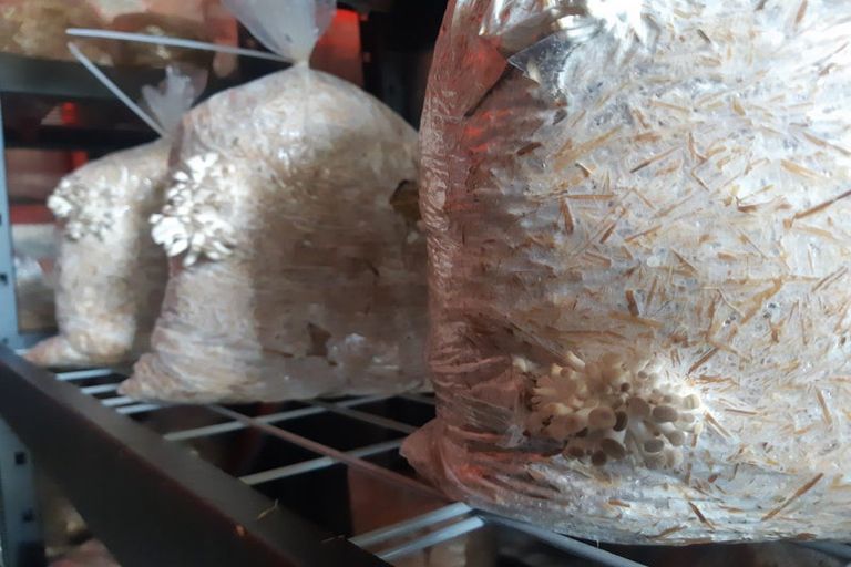 Photo of property in 405 Nightcaps-ohai Highway, Ohai, Otautau, 9689