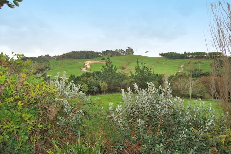 Photo of property in 118 Whangaripo Valley Road, Wellsford, 0974