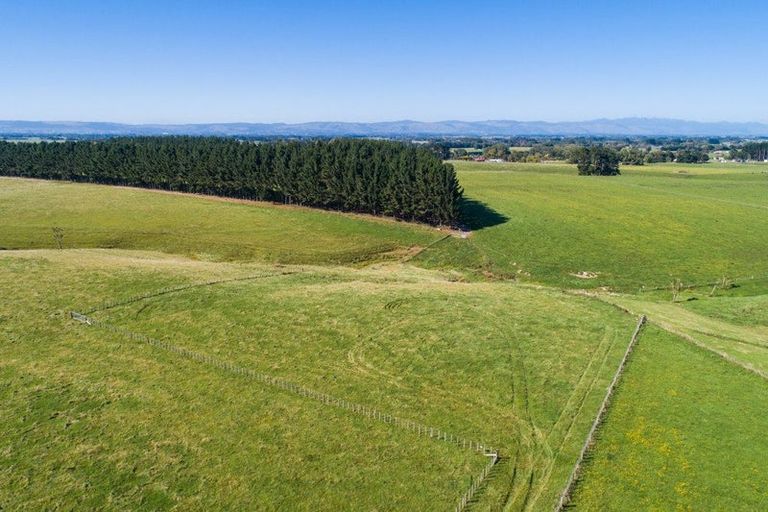 Photo of property in 172 Stewart Road, Feilding, 4479