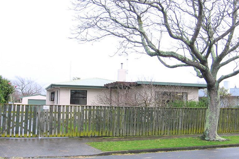 Photo of property in 18 Snowdon Avenue, Terrace End, Palmerston North, 4410