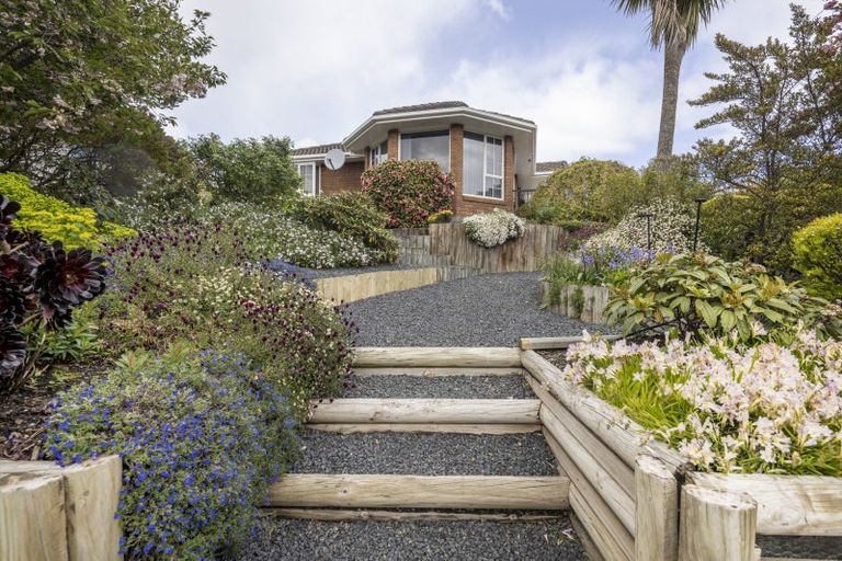 Photo of property in 301 Brighton Road, Waldronville, Dunedin, 9018