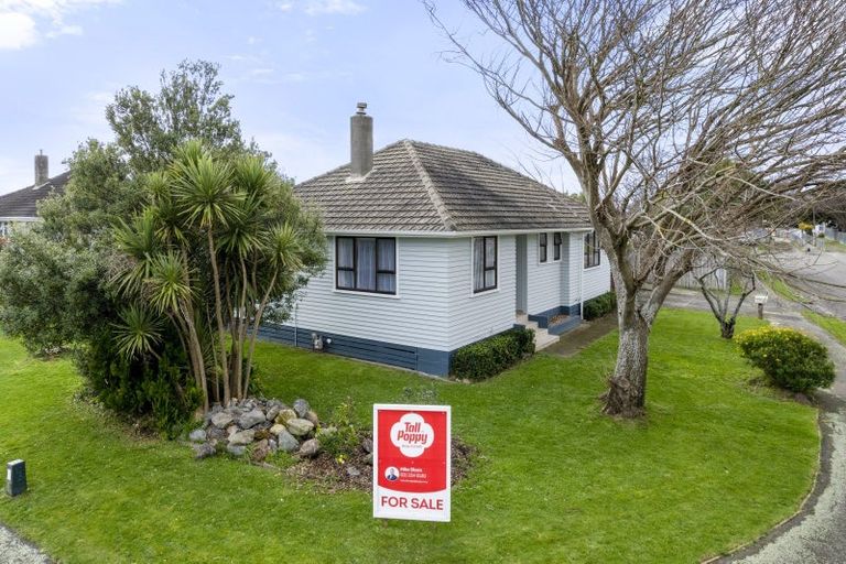 Photo of property in 11 Montrose Place, Takaro, Palmerston North, 4412