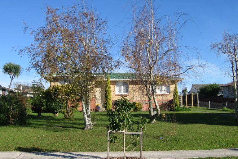 Photo of property in 19 Mclean Avenue, Papatoetoe, Auckland, 2025