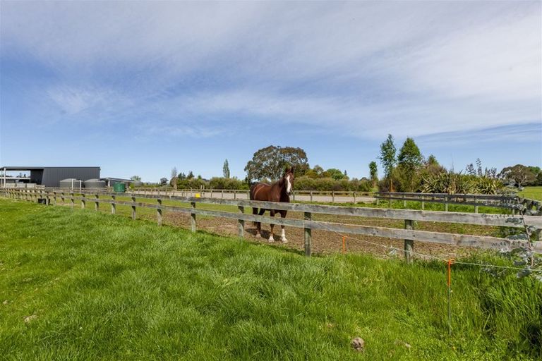 Photo of property in 273 Lindsay Road, Waipukurau, 4283