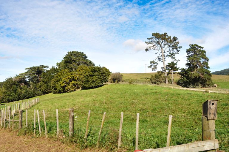 Photo of property in 927 Tauhoa Road, Kaipara Flats, Warkworth, 0984