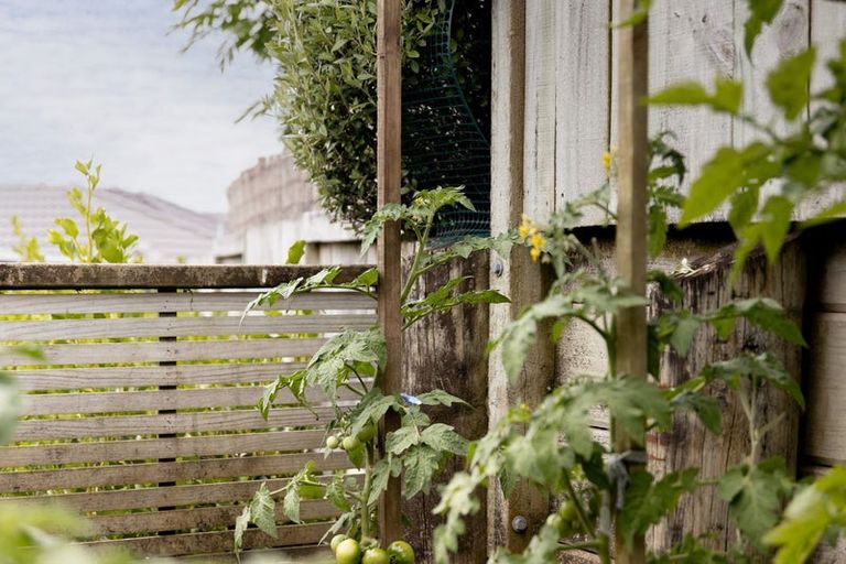 Photo of property in 20 Parkland Rise, Omokoroa, 3114