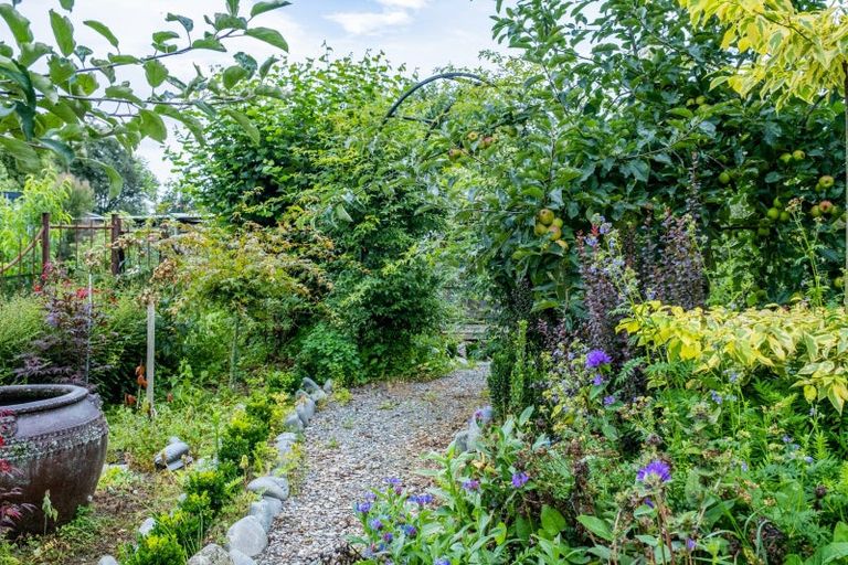 Photo of property in 35 Church Street, Woodbury, Geraldine, 7991