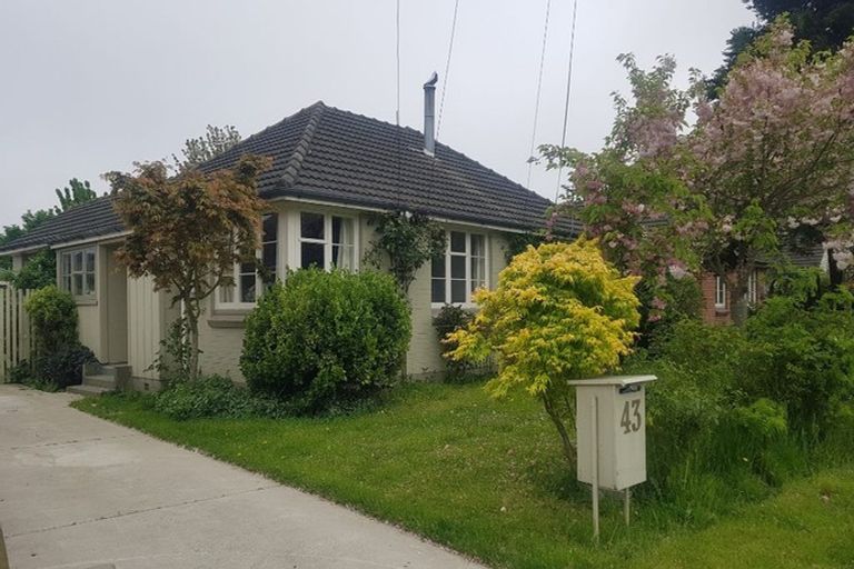 Photo of property in 43 Joy Street, Shirley, Christchurch, 8061