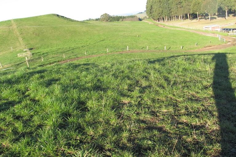 Photo of property in 181 Link Road, Wairakei, Taupo, 3384