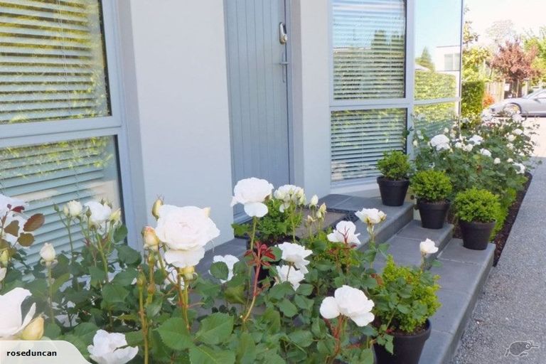 Photo of property in 1/26 Wairakei Road, Strowan, Christchurch, 8052