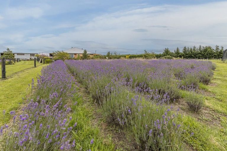 Photo of property in 672 Depot Road, Burnt Hill, Oxford, 7495