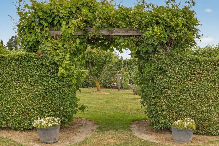 Photo of property in 225 Marshmans Road, Ashley, Rangiora, 7477