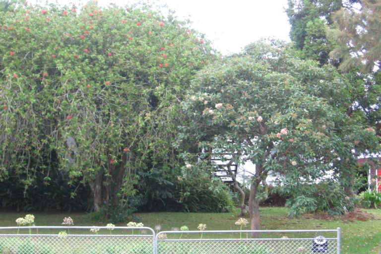 Photo of property in 17 Miltonia Avenue, Te Atatu South, Auckland, 0610