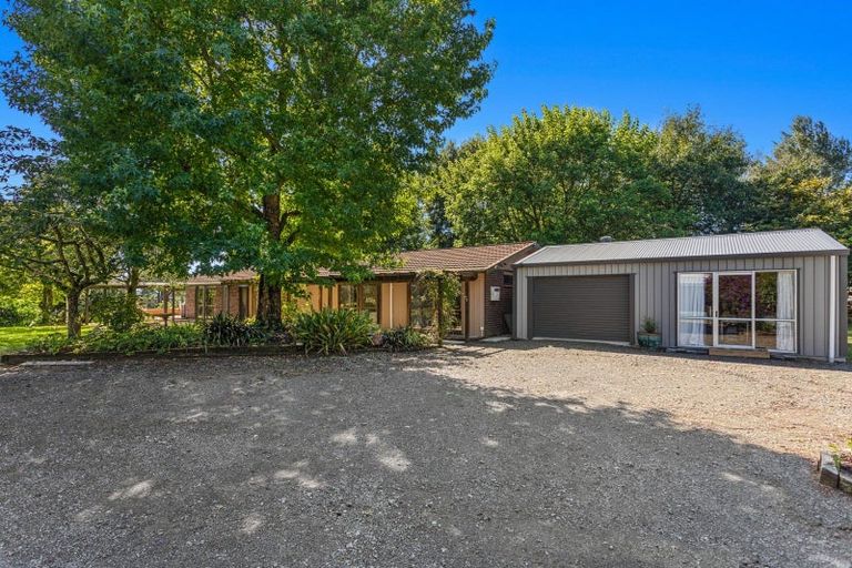 Photo of property in 529 Grieve Road, Te Teko, Whakatane, 3192