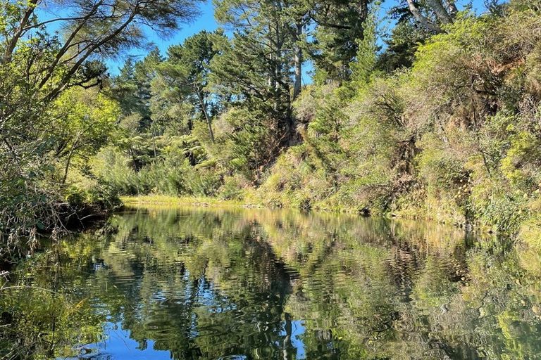 Photo of property in 81b Mcmillan Road, Tahawai, Katikati, 3170