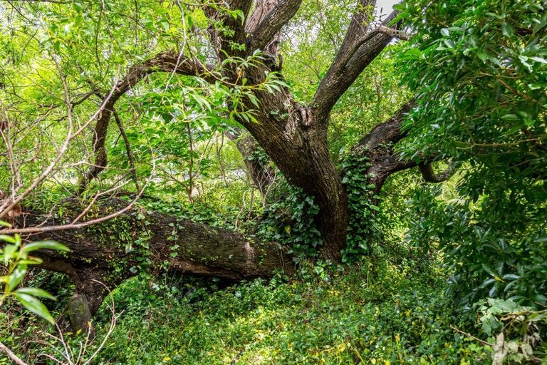 Photo of property in 80 Johnston Street, Featherston, 5710