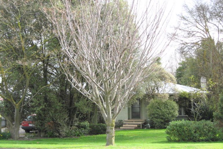 Photo of property in 80 Te Aute Road, Havelock North, 4130