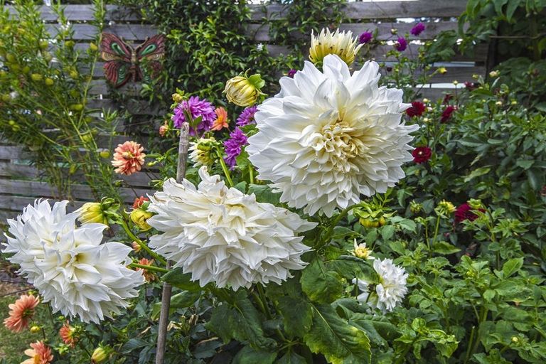 Photo of property in 321 Vinegar Hill Road, Kauri, Kamo, 0185