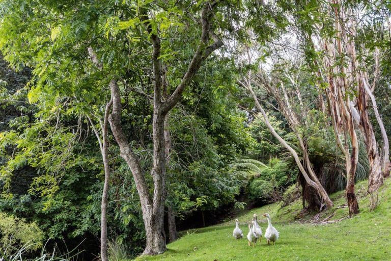 Photo of property in 109 Butcher Road, Matangi, Hamilton, 3284