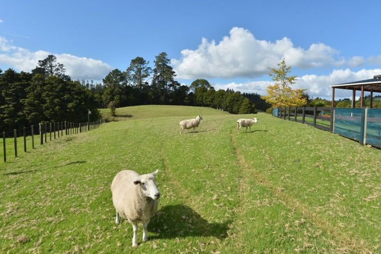 Photo of property in 50 Appian Way, Ruatangata West, Whangarei, 0176