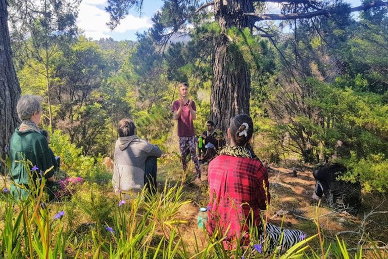 Photo of property in 13 Pohue Creek Road, Ruamahunga, Thames, 3575