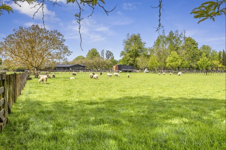 Photo of property in 43 Forrest Road, Cambridge, 3493