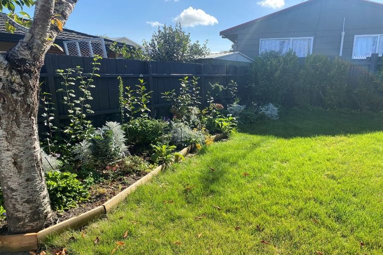 Photo of property in 115 Albert Street, Hamilton East, Hamilton, 3216