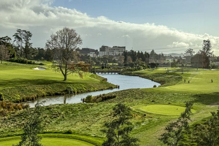 Photo of property in 17 Puia Street, Papatoetoe, 2025