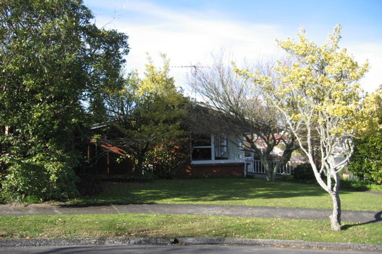 Photo of property in 16 Vista Terrace, Hillcrest, Hamilton, 3216
