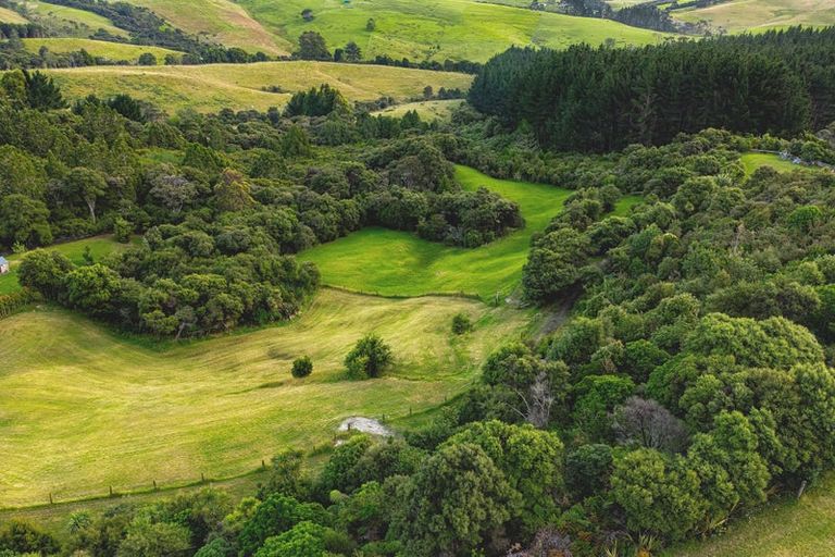 Photo of property in 131 Oyster Point Road, Kaukapakapa, Warkworth, 0984