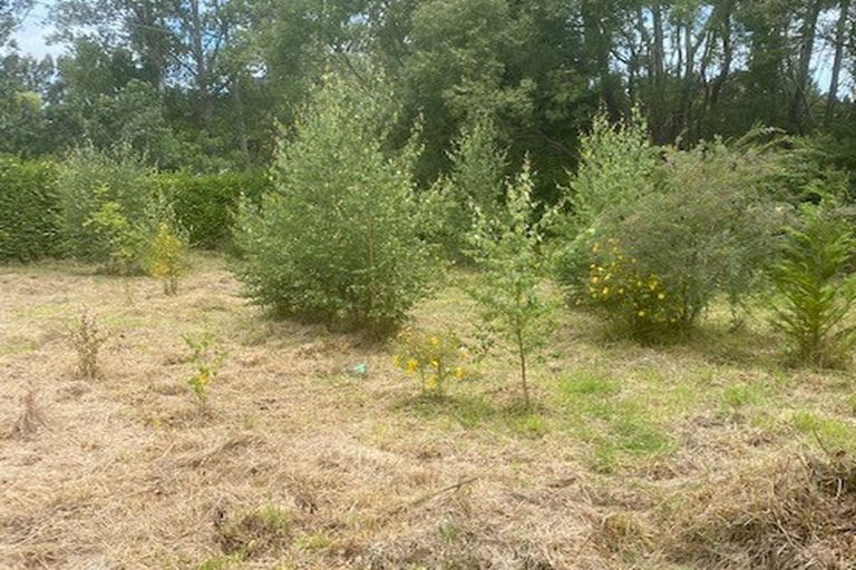 Photo of property in 34 Roseness Street, Palmerston, 9430