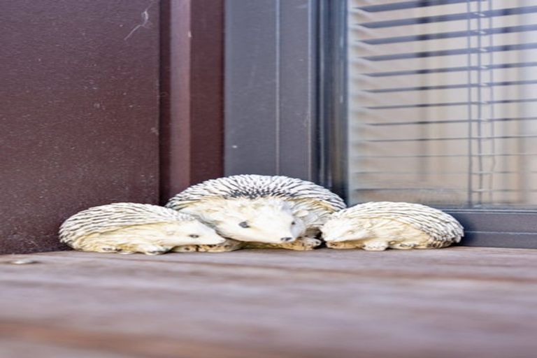 Photo of property in 32 Collies Road, Casebrook, Christchurch, 8051