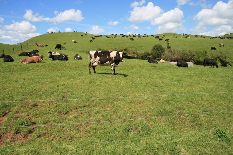 Photo of property in 888a Otaraoa Road, Tikorangi, Waitara, 4383