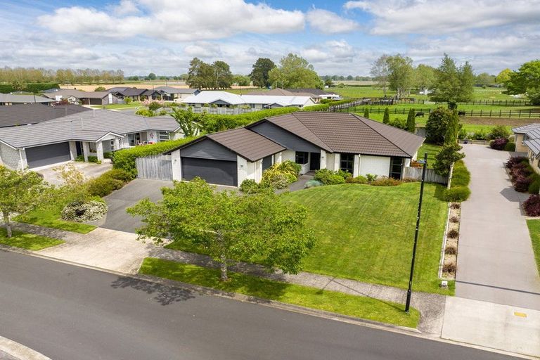 Photo of property in 3 Kelso Place, Matamata, 3400