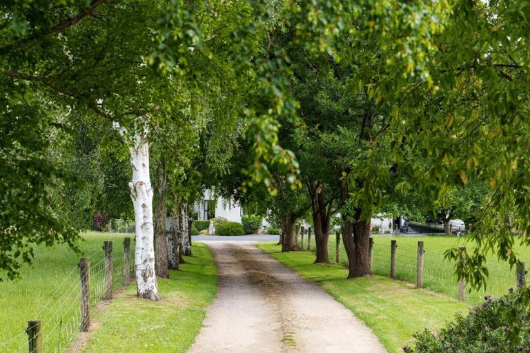 Photo of property in 280 Wairongoa Road, North Taieri, Mosgiel, 9092