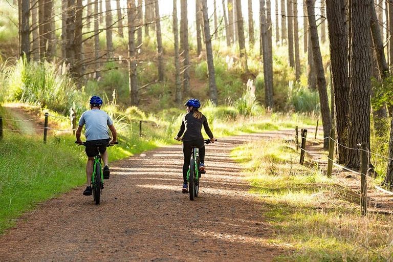 Photo of property in 7 Oranga Drive, Westgate, Auckland, 0614