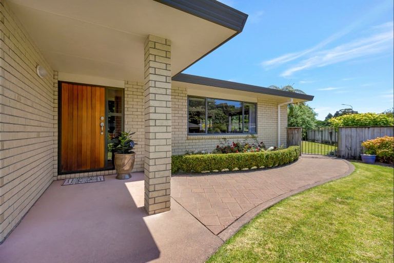 Photo of property in 38 Roto Street, Hurdon, New Plymouth, 4310
