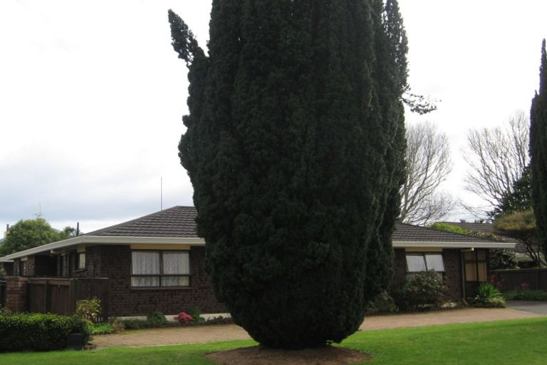 Photo of property in 111 Kings Avenue, Matua, Tauranga, 3110