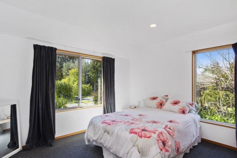 Photo of property in 19 Freeburn Road, Pyes Pa, Tauranga, 3112